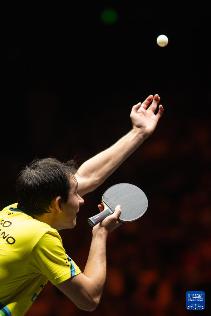 杨展开了 杨展开了