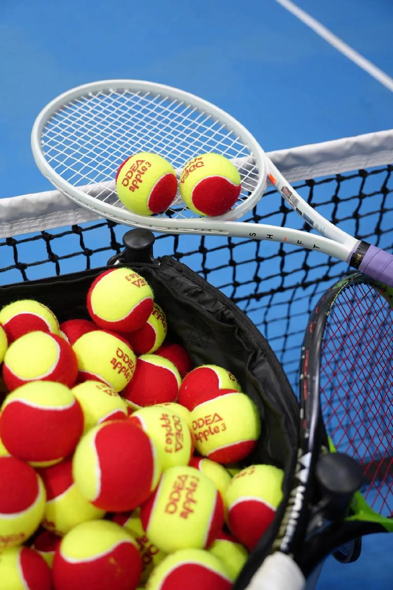 明确否定可 明确否定可